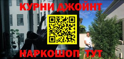 ГАЛЛЮЦИНОГЕННЫЕ ГРИБЫ Камышлов